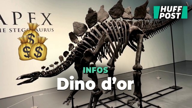 Le squelette de dinosaure le plus cher au monde a été vendu aux enchères