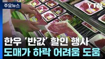 도매가 떨어져도 비싼 '한우'...최대 반값 할인 행사 / YTN