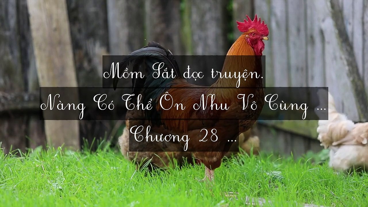 Mới 2024 Chương 26-30: Nàng Có Thể Ôn Nhu Vô Cùng