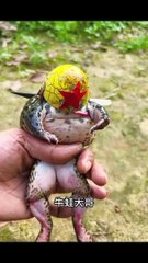 فيديو مضحك 2024 |Funny video 2024