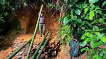 3 DAYS SOLO SURVIVAL CAMPING IN RAIN FOREST - BUILDING UNIQUE BUSHCRAFT SHELTER