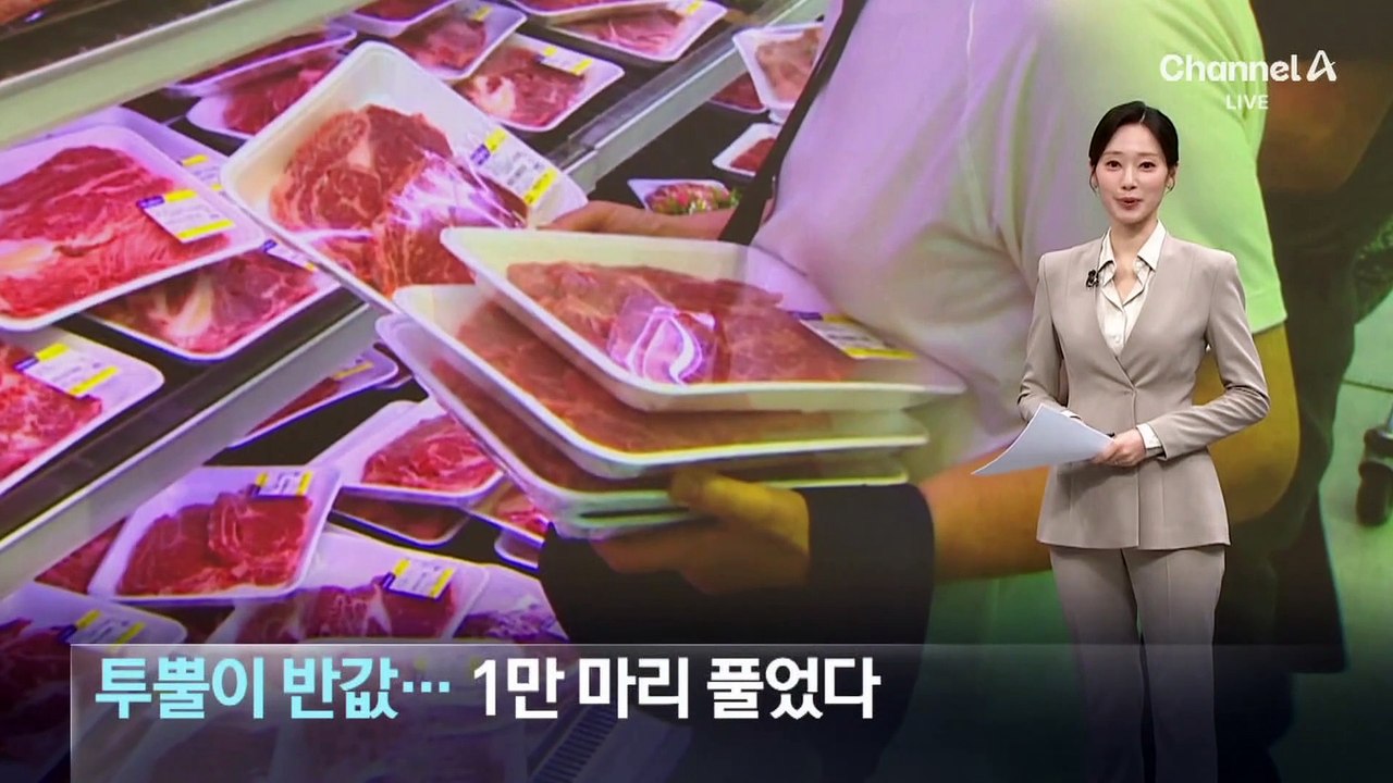 ‘투뿔’ 한우가 반값…1만 마리 물량 풀었다