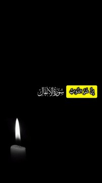 ﴿ ۞ إِنَّ شَرَّ الدَّوَابِّ عِندَ اللَّهِ الصُّمُّ الْبُكْمُ الَّذِينَ لَا يَعْقِلُونَ﴾ [ الأنفال: 22]