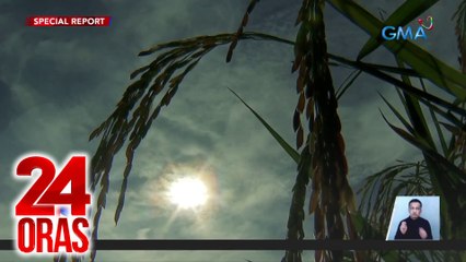 SONA Special Report: Pinsala ng El Niño sa agrikultura mula 2023-2024, umabot sa P9.89-B; halos 200,000 magsasaka at mangingisda, apektado | 24 Oras
