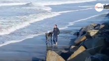 Spaziergang am Strand mit dem Hund wird zum ABSOLUTEN Albtraum (Video)