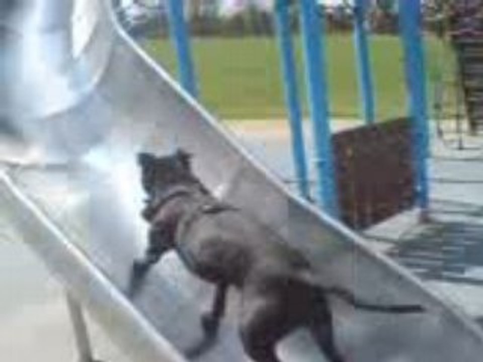 pit ki fait du toboggan