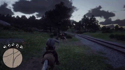 RDR2 - This is where you could find the map of hidden money