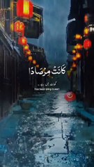 Surah naba /Quran recitation