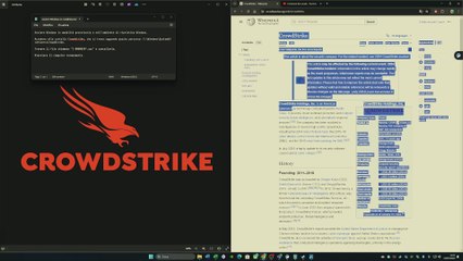 Crowdstrike vs SkyNet: il bug, i sistemi in tilt e come risolvere