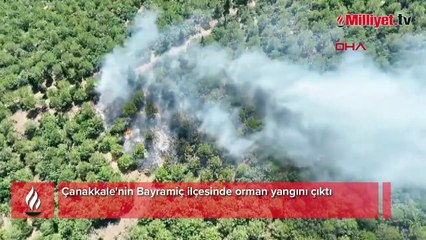 Çanakkale'de orman yangını! Havadan karadan müdahale