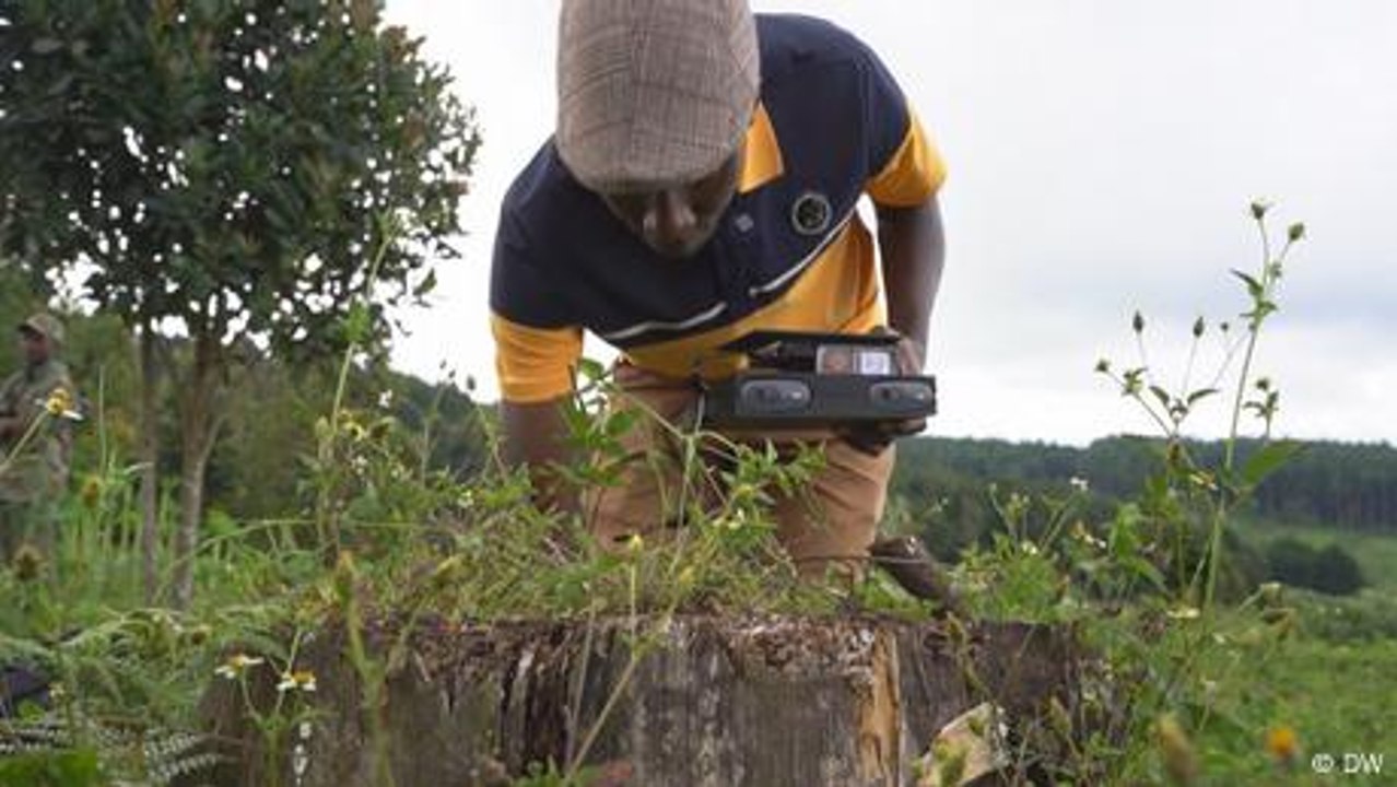 Artificial intelligence boosts Kenya’s forestry conservation