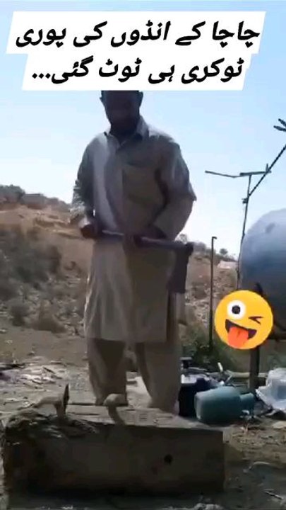 uncle's saree basket of eggs tricks