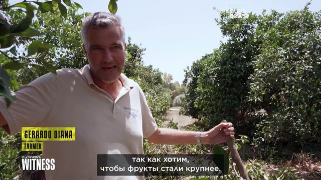 Сицилия ждет дождя: рекордная засуха уничтожает агробизнес и лишает людей воды