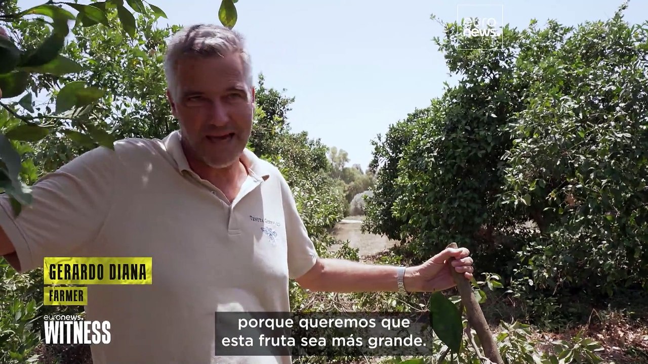 Sequías, desertización, olas de calor: La crisis climática golpea con fuerza a Sicilia