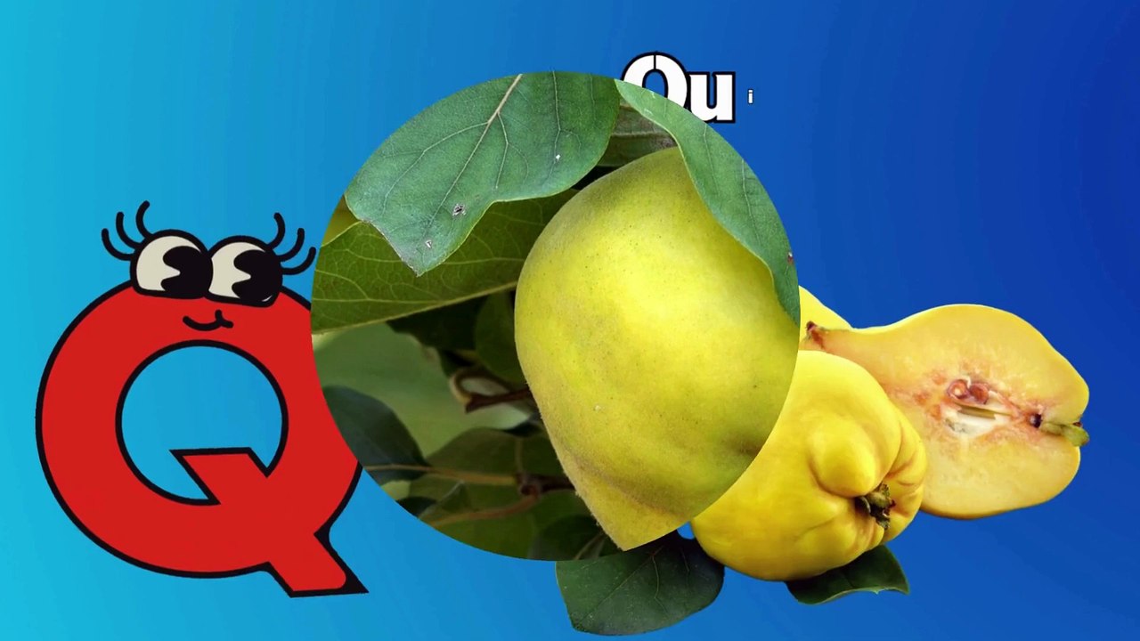 Q for Quince  Fun and Catchy ABC Phonics Song for Kids  ABC Learning Academy