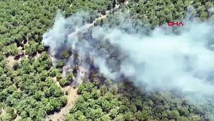 Çanakkale'de orman yangını