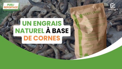 Publireportage : Un engrais naturel à base de cornes