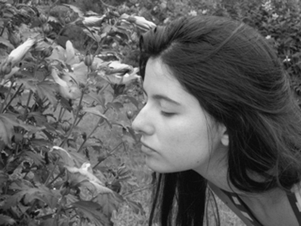 My Favourite game - The cardigans by Aleks