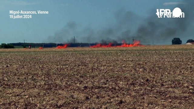 « Méga-bassines » : la manifestation avortée après un incendie déclenché par l’action des gendarmes