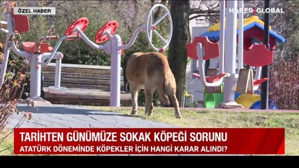 Atatürk sokak köpeği sorununu nasıl çözmüştü? İlber Ortaylı anlattı