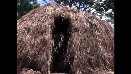 135. La Esclava Isaura (A Escrava Isaura), en español