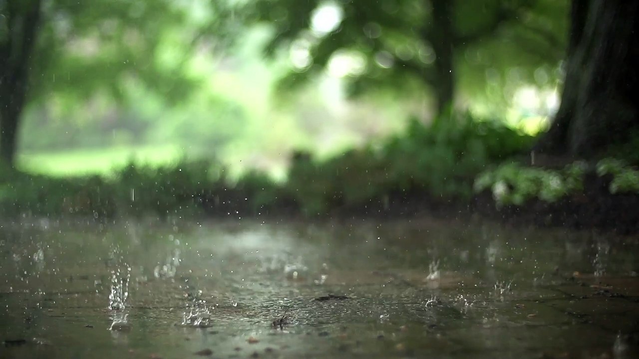 Raindrops_Videvo