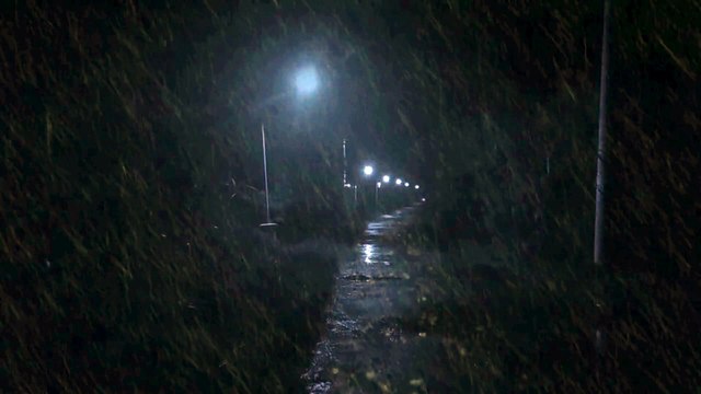 99% Fall Asleep Immediately in 5 Minutes with Heavy Rainstorm & Thunder at Night Calm White Noise Heavy Rain Sounds at Night - Sleep, Study, Relax | Ambient Noise Rainstorm #rain #asmr