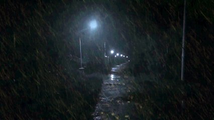 99% Fall Asleep Immediately in 5 Minutes with Heavy Rainstorm & Thunder at Night  Calm White Noise  Heavy Rain Sounds at Night - Sleep, Study, Relax | Ambient Noise Rainstorm #rain #asmr