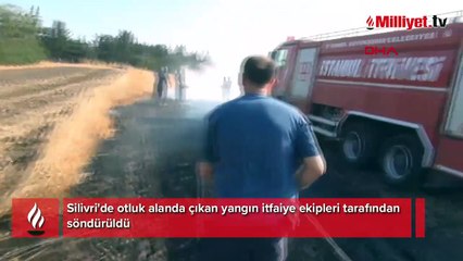Silivri'de anız yangını! 20 dönüm arazi hasar gördü