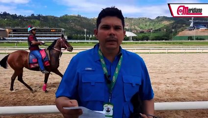 Hipismo: José Luis Balzan, Entrenador.