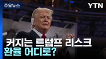 커지는 트럼프 리스크...환율 어디로? / YTN