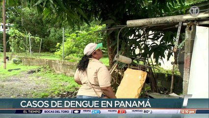 Aumentan casos de dengue en Panamá Norte