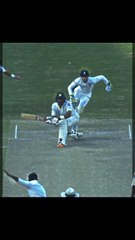 good Short Misbah Ul Haq _shorts _cricketshorts _viral(720P_60FPS)