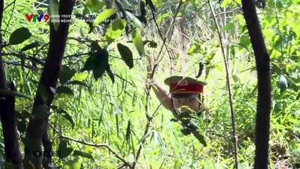 Phim truyện Định mệnh trùng phùng - Tập 23