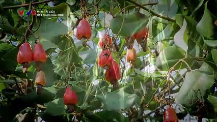 Phim truyện Định mệnh trùng phùng - Tập 25