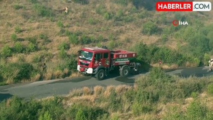 Antalya'da çıkan yangın seraları ve ormanlık alanı etkiledi
