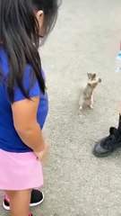 The Poor Squirrel Asked For Water 