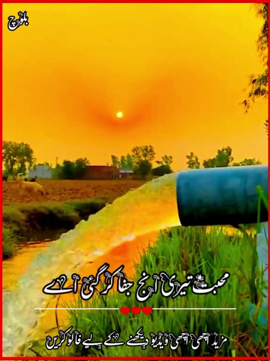 New saraiki status