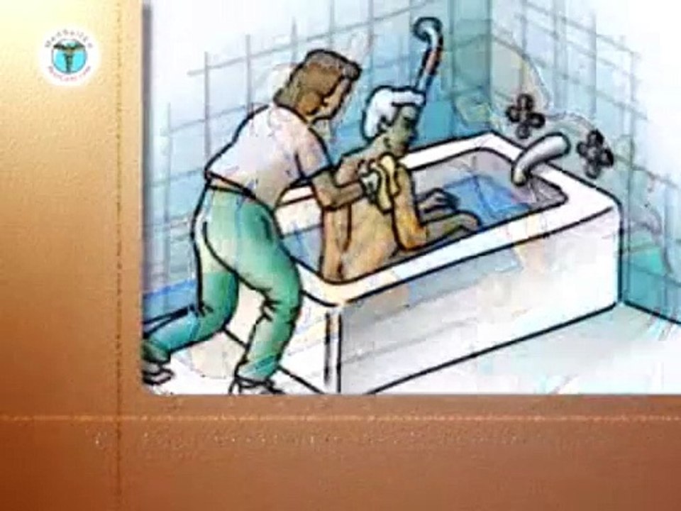 Assisting with Bathing