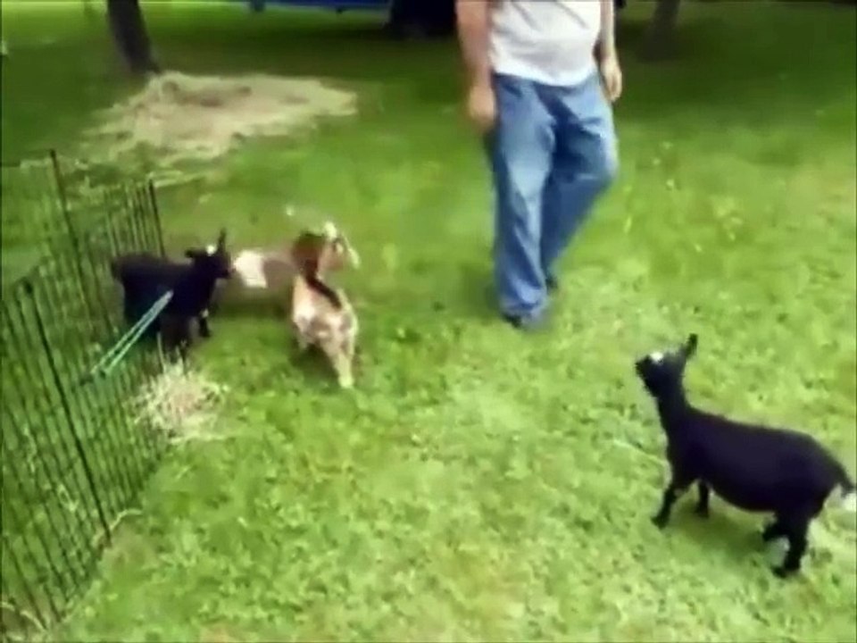 There’s always one.. 