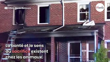 Une maman sort chercher quelque chose dans sa voiture : ce qu'elle voit en se retournant la fait s'effondrer