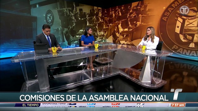 Diputada Alexandra Brenes habla de los ataques en su contra