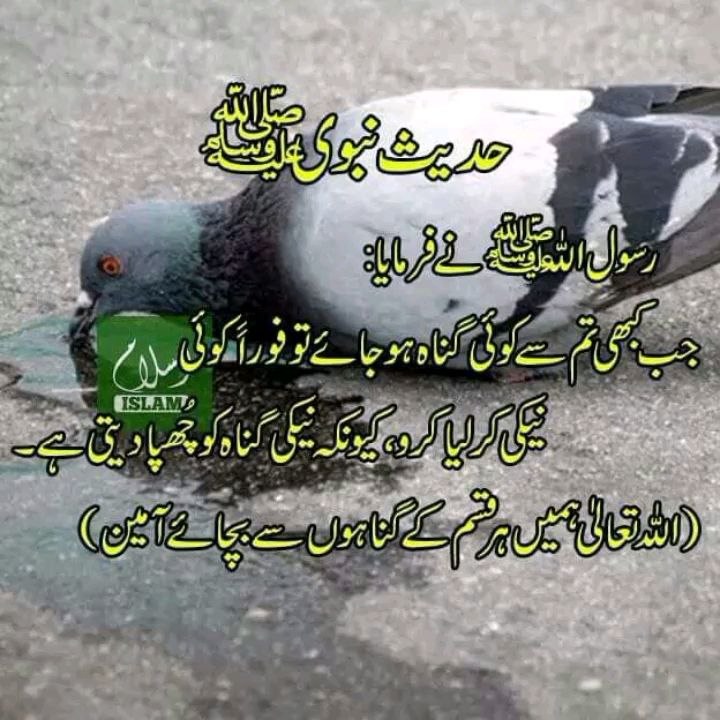 jabkabhi tumse koi gunnah hojaye hadees mubarak islamic video