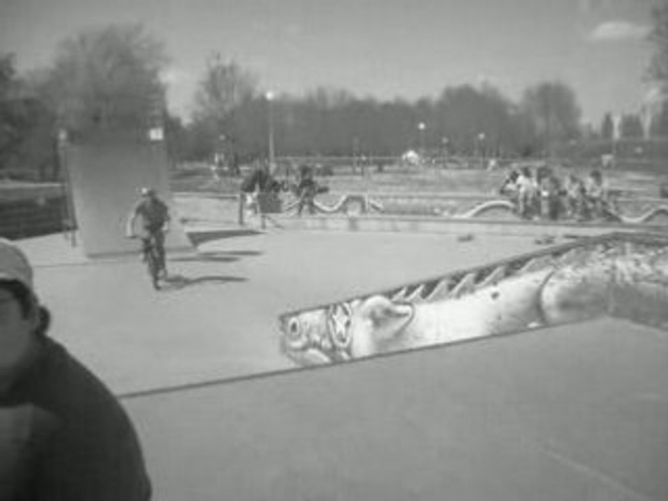 bmx park
