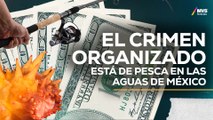 TRÁFICO DE ESPECIES: La nueva cara del CRIMEN ORGANIZADO en México