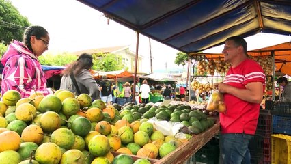 feria del agricultor