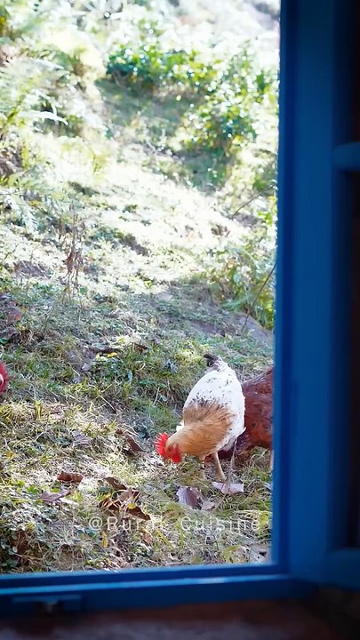 Salted Mixed Vegetable Pickle @Rural Cuisine‬