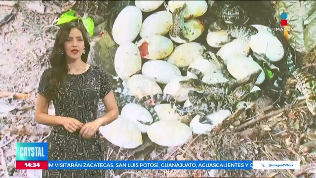 Sismo con magnitud 7.4 sacude Chile