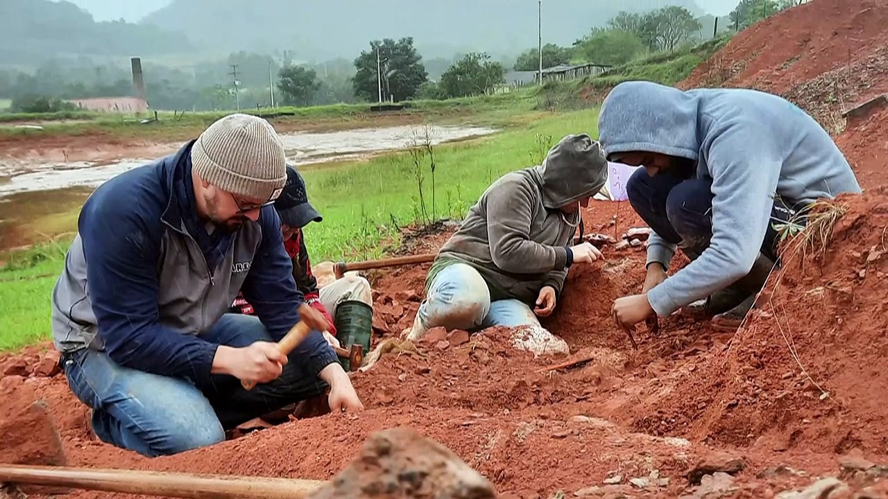 Hallan fósil de dinosaurio de 230 millones de años tras lluvias en sur de Brasil