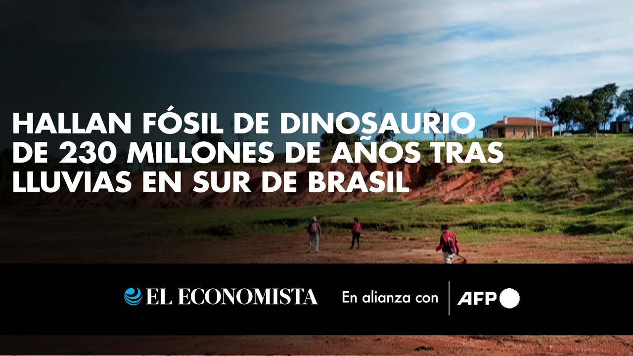 Hallan fósil de dinosaurio de 230 millones de años tras lluvias en sur de Brasil